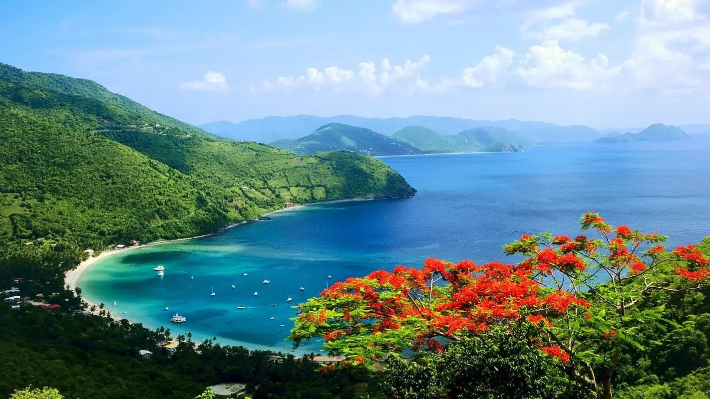 自动化可靠性智能化